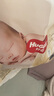 好奇（Huggies）小森林纸尿裤L40片(9-14kg)尿不湿心钻【透氧顶配更低敏】 实拍图