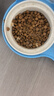 皇家宠物猫粮 幼猫猫粮K36-适用于12月龄50g*3 实拍图