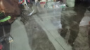 森森 超白玻璃小型热弯水草鱼缸HRK-600套缸+过滤器+水草灯 实拍图