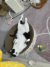 网易严选全价猫粮宠物主粮幼猫成猫全价猫粮 深海鱼虾口味10kg 实拍图
