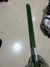 两腿跑【送货上门】爬藤架葡萄黄瓜豆角架种菜花支架庭院园艺花卉支撑杆 粗16mm长180cm10支 特大 实拍图