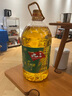九三 食用油 压榨一级玉米油玉米胚芽油5L（烘培食用植物油） 实拍图