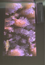 极米RS 10 mini 护眼三色激光云台投影（家用智能家庭电视 灵动云台  24W超大音响 小巧便携）国家补贴 实拍图