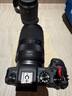 佳能（Canon）RF 24-240mm F4-6.3 IS USM 基础防护套装 实拍图