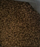伯纳天纯经典系列幼猫猫粮 金枪鱼蔓越莓口味10kg/20斤 实拍图