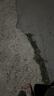 海立1.5米燃气管家用煤气天然气液化气金属不锈钢防爆波纹管软管rk1.5 实拍图