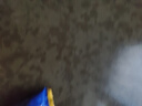 三只松鼠每日蓝莓干500g 蜜饯果干酸甜休闲零食下午茶孕妇儿童健康零食 实拍图