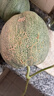 枝遥（ZHIYAO）现摘新鲜哈蜜瓜西州蜜瓜生鲜应季网纹瓜哈密瓜时令水果当季 哈密瓜  9斤（净重8.5斤） 实拍图
