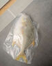 环球水产南海大金鲳鱼550g1条 BAP认证 海鱼水产 生鲜鱼类 火锅 烧烤海鲜 实拍图