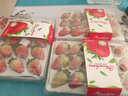 樱鲜JD顺丰多地次日达非丹东99牛奶红颜奶油酸甜云南草莓新鲜水果年货 3盒 甄选果【45枚】单果18-26g 实拍图