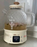 小熊（Bear）养生壶 1.5L煮茶壶烧水壶 可拆卸茶篮 煮茶器电水壶 恒温电热水壶 保温花茶壶 YSH-E15W7  实拍图
