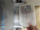 一虾一世界鲜活熟冻皮皮虾 新鲜虾爬子濑尿虾大号爬爬虾肉虾婆肉 烧烤食材 中号公虾 3斤(净重)  【9-11cm】 实拍图