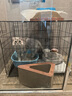 憨憨宠 狗笼猫笼 狗笼子小型犬带厕所幼犬折叠便携猫笼子宠物笼具兔笼 黑色 前出盘狗丝笼 85*61*71cm 实拍图