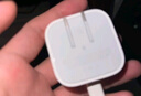 Apple/苹果【新品】40W USB-C充电器 type-c充电器苹果手机充电器手机快充头 苹果17手机充电器 实拍图
