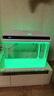 森森（SUNSUN）鱼缸水族箱客厅家用生态桌面金鱼缸免换水懒人鱼缸一体缸自循环 48cm长 内置棉和滤材 实拍图