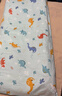 水星儿童（MERCURY Kids）幼儿园全棉抗菌床褥罩(湖水绿/远古龙)60cm×135cm 婴幼儿A类 实拍图