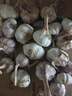 【百万单爆品】紫白皮蒜水果大蒜超市生鲜蔬菜调料即食蒜 【优选】 1斤 单果3.5-5cm 实拍图