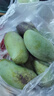 壹萌果蔬金煌芒芒果 当季现摘广西大芒果新鲜水果青芒果整箱送礼 5斤至臻果【单果350g+】 净4.5斤 实拍图