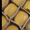 佳沛（zespri）新西兰阳光金奇异果原箱 16粒巨无霸 单果重约202-230g   猕猴桃 实拍图