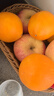 玖原农珍 赣南脐橙当季现摘橙子净重9斤优选果单果150-220g 新鲜水果礼盒 实拍图