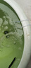 sobo鱼缸氧气泵养鱼增氧机充氧泵家用小型制氧机氧气机鱼用充氧器低音 【升级更静 气量可调】双孔8W+纳米气盘套餐 实拍图