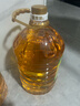 金龙鱼 食用油 非转基因 物理压榨玉米油6.18L（蕴含植物甾醇） 实拍图