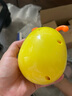 欣格不倒翁玩具婴幼儿玩具0-1岁宝宝早教启蒙玩具3-6-12个月男孩女孩安抚新生儿可啃咬眨眼小蜜蜂黄色 实拍图