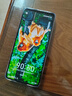 荣耀畅玩60 Plus 五星超抗摔 6000mAh超耐用长续航 12GB+512GB 仙踪绿【赠话费券】国家补贴 实拍图