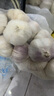 山东金乡蒜大蒜出口标准精选大蒜头蔬菜调料单果5cm 【专享】出口网兜925g5-5.5cm特大 实拍图