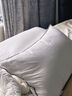 康尔馨五星级酒店羽绒枕芯  95%白鹅绒枕防水防污成人家用鹅绒枕头 【新国标95白鹅绒】低枕 单只 实拍图