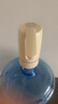 小熊（bear）桶装水抽水器 电动压水器 自动吸水器 矿泉水上水器 饮水机抽水泵 YSJ-D06H5 实拍图