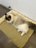 柒哦狗窝宠物凉席夏季睡垫护颈冰窝猫狗垫子全可拆洗中小型犬狗床凉窝 【凉席加厚款】阳光花海可拆洗 S-30*40CM（建议4斤内） 实拍图