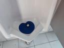 净佰俐小便池除臭香片10片蓝色男厕所尿斗芳香球除异味防堵塞过滤网 实拍图