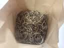月光白茶古树茶花香白牡丹云南普洱茶花香蜜香老白茶散装罐装白茶 月光白茶优级50克/袋 实拍图