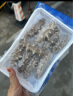 金唐大连冷冻即食海参净重250g /盒（8-10只）家庭装鲜食辽刺参免泡发 实拍图