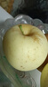 山东烟台黄金奶油富士苹果脆甜冰糖心很像维纳斯苹果 带箱9.5斤75果 实拍图