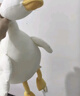 名创优品（MINISO）大白鹅系列毛绒公仔趴姿玩具抱枕睡觉室内卧室办公室生日礼物 实拍图