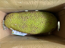 京鲜生 海南菠萝蜜 19-24斤 净重19斤+生鲜水果 源头直发 实拍图