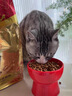 弗列加特猫主粮烘焙猫粮鲜肉粮Fregate 85%高鲜肉烘焙粮 全价鲜肉烘焙猫粮 【磷虾油美毛】乳鸽配方1.8kg 实拍图