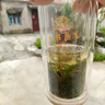 陈一凡抹茶玉露 可冷热泡茶绿茶原叶冷萃 办公室下午茶袋泡茶包12泡36克 实拍图