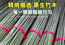 竹竿菜园搭架竹子户外旗杆黄瓜豆角爬藤菜架竹杆支架豇豆搭架杆 10根【精品竹竿】 2厘米粗3米长 实拍图
