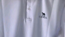 骆驼（CAMEL）速干透气POLO衫男士宽松运动通勤商务休闲翻领短袖夏季M34BD03603 实拍图