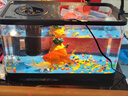 阔庭（KUOTING）鱼缸水族箱生态桌面鱼缸新款懒人鱼缸生态造景过滤制氧一体机黑色 实拍图