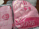 剑桥树小学生笔袋大容量女孩儿童礼物文具盒笔盒分层简约铅笔盒男童 玫粉色 实拍图