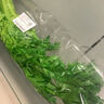  大芹菜约400g 实拍图