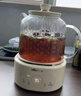 小熊（Bear）全玻璃壶体养生壶恒温壶 办公室多功能煮茶壶花茶壶 0金属养生杯 24h预约24h保温 1.5L YSH-H15L2 实拍图