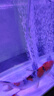 SOBOsobo 鱼缸氧气泵水族箱增氧泵 鱼池打氧养鱼鱼缸充氧泵 增氧机 2米管+2个石+2个止流阀 实拍图