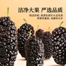 同仁堂品牌 北京同仁堂 桑椹200g 即食黑桑葚桑椹干枸杞桂圆茶原料 实拍图