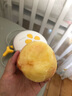 阳山水蜜桃 正宗无锡阳山水蜜桃白凤桃 时令水果桃子礼盒 一级果4-5两12个礼盒装净重5斤多 实拍图