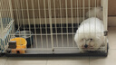 licheers猫狗窝凉席小型犬宠物猫咪睡垫夏季床垫泰迪中大型犬狗垫子 M号 实拍图